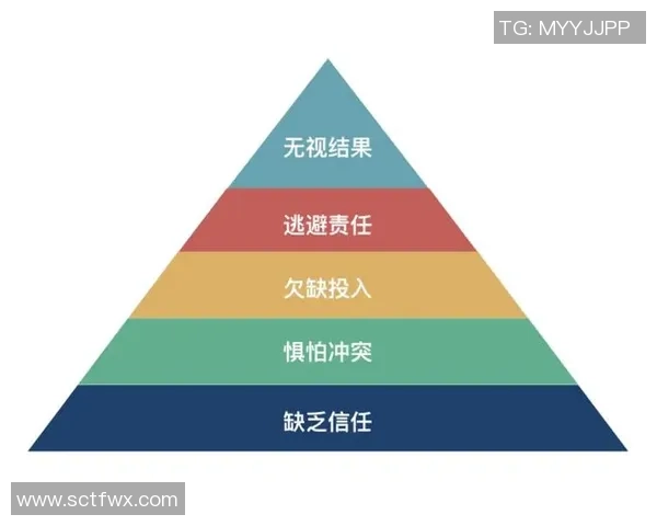 杭州篮球队总决赛精彩表现解析团队协作的重要性与影响力