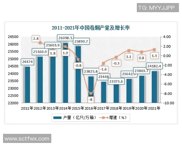 深入探讨北京排球队实力表现的数据分析与未来发展趋势
