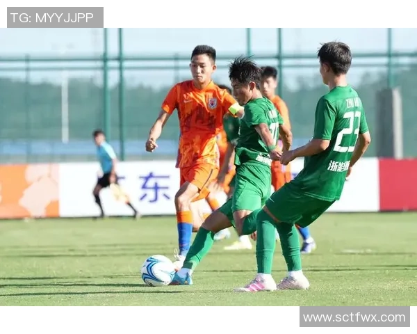 深圳足球队在联赛中的比赛经验与表现分析探讨