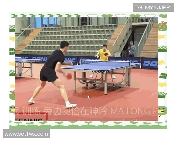 科学乒乓球：个人能力训练方法