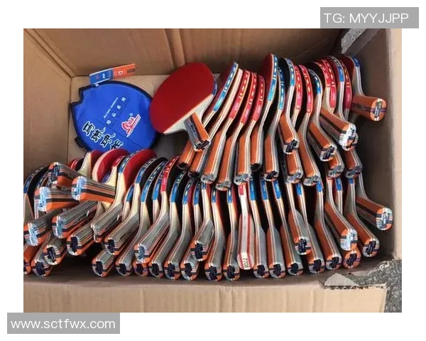 乒乓球装备选购：训练器材推荐_1